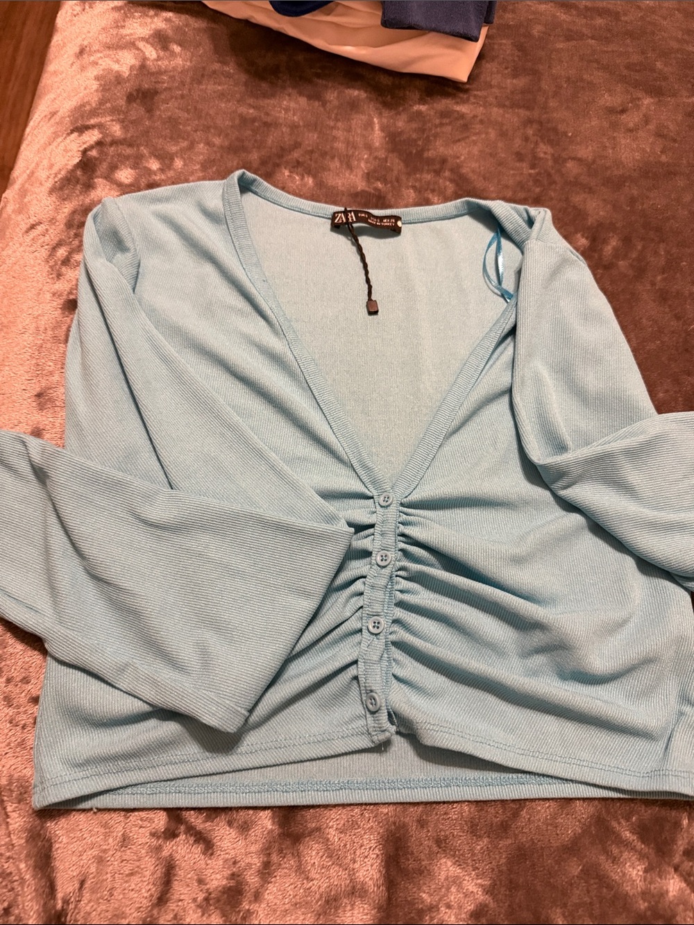 Zara Light Blue Ruched Button-Front Crop Top